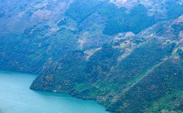 黃金二號旅游船預定