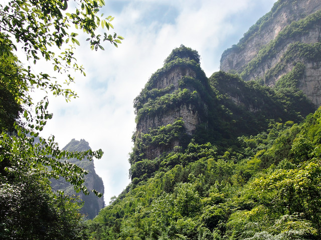 宜昌三峽竹海生態風景區電話 宜昌三峽竹海生態風景區電話