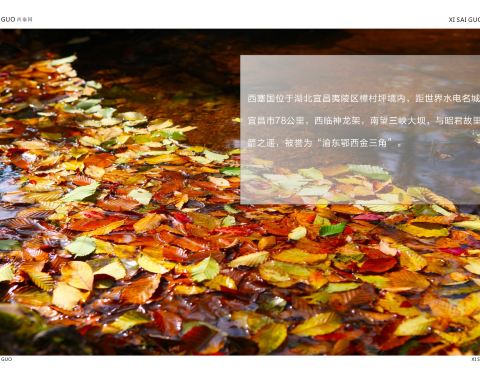 宜昌西塞國(guó)森林公園旅游指南