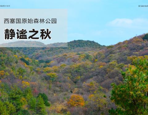 宜昌西塞國(guó)森林公園旅游指南