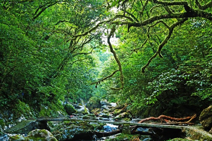 后河自然保護區旅游攻略