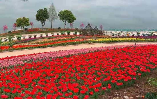 宜昌三峽龍泉湖咨詢中心