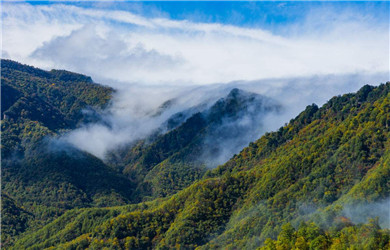 武漢到宜昌神農架旅游 武漢到宜昌神農架旅游