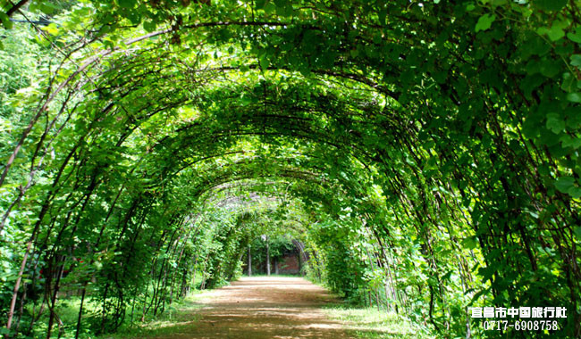 宜昌旅游年卡網