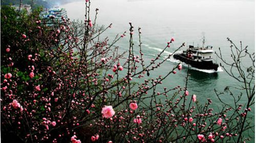 宜昌旅游年卡網