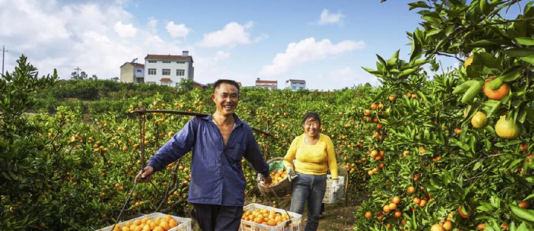 宜昌周邊游 宜昌周邊游