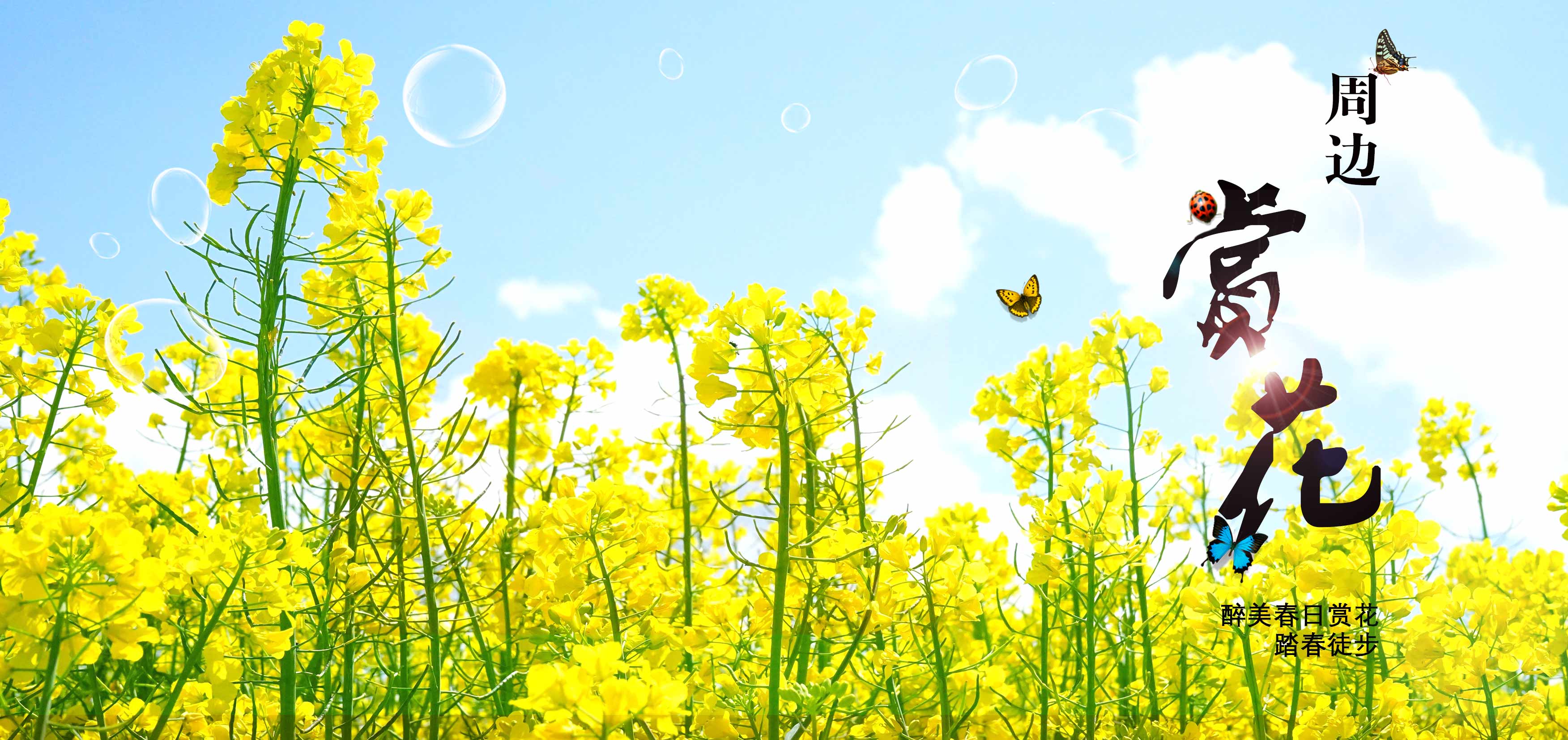 宜昌三峽旅游集散中心