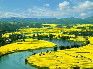 宜昌枝江旅游網