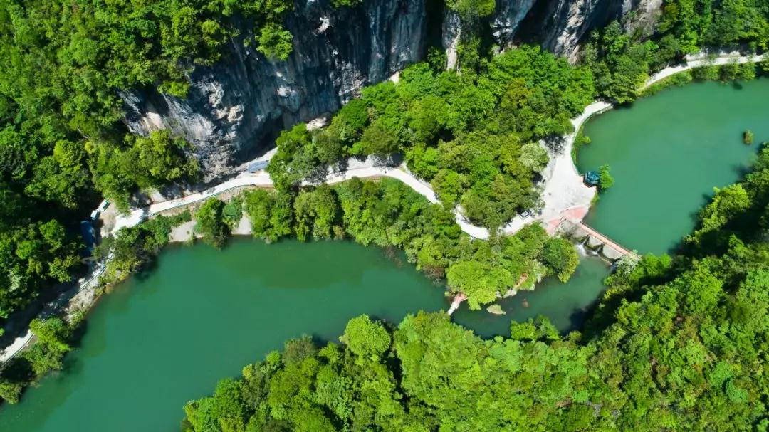 宜昌中亞楠木林大峽谷景區 宜昌中亞楠木林大峽谷景區