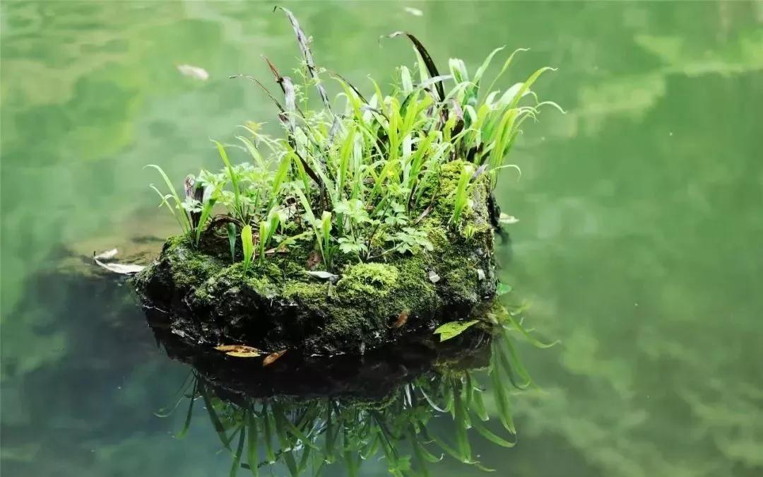 宜昌中亞楠木林大峽谷景區 宜昌中亞楠木林大峽谷景區