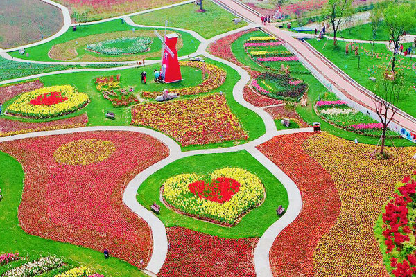 枝江同心花海風景區