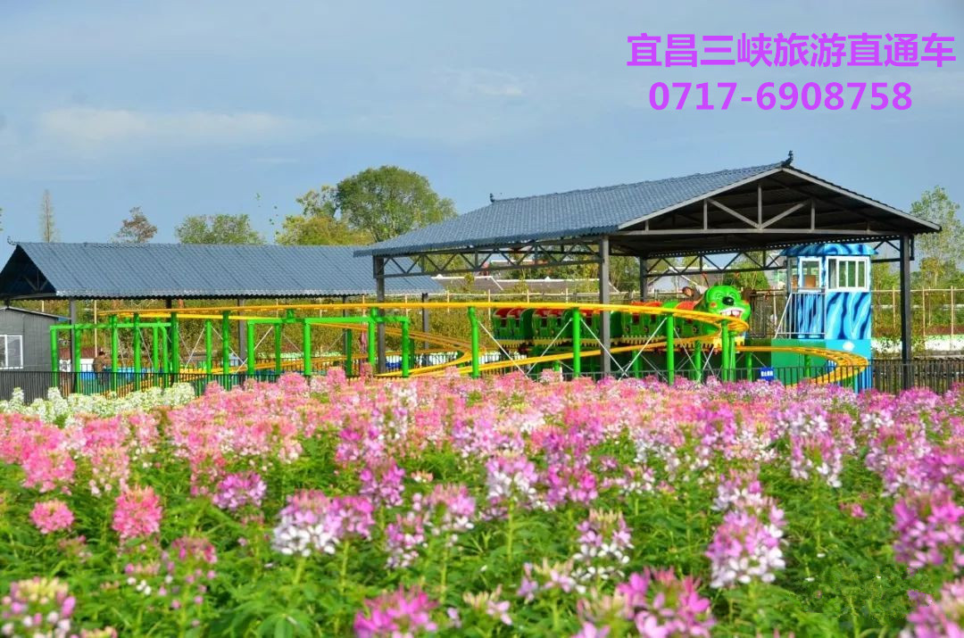 枝江同心花海旅游介紹 枝江同心花海旅游介紹