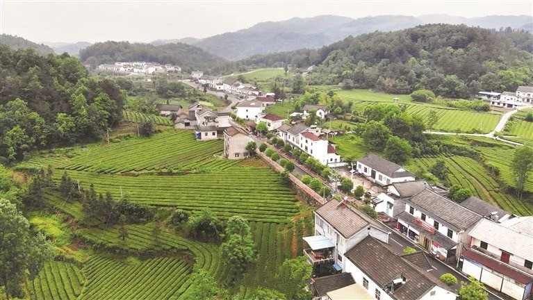 宜昌鄉(xiāng)村游指南