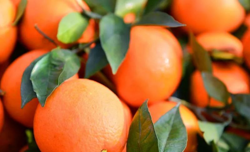 宜昌興山旅游預定網