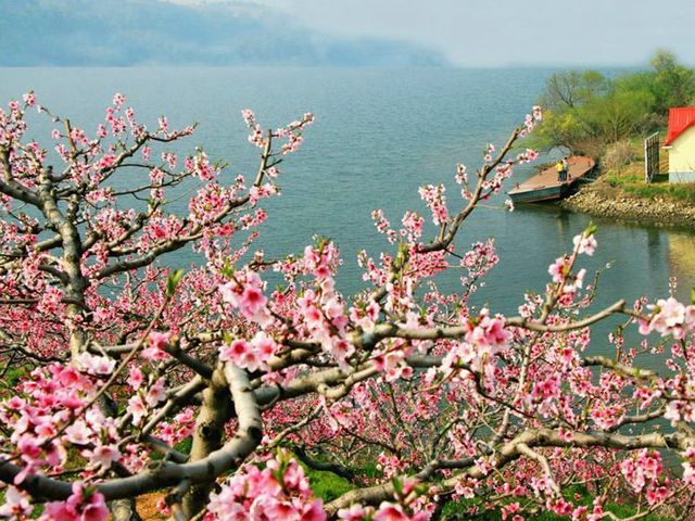 宜昌旅游信息指南