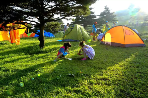 宜昌百里荒旅游線路預定 宜昌百里荒旅游線路預定