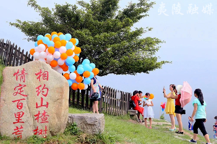 宜昌夷陵旅游咨詢熱線