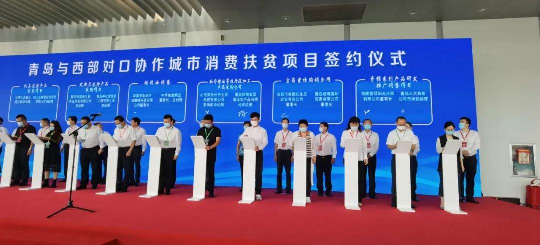 青島到宜昌三峽旅游