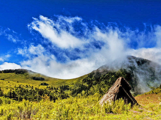 宜昌神農架旅游攻略 宜昌神農架旅游攻略