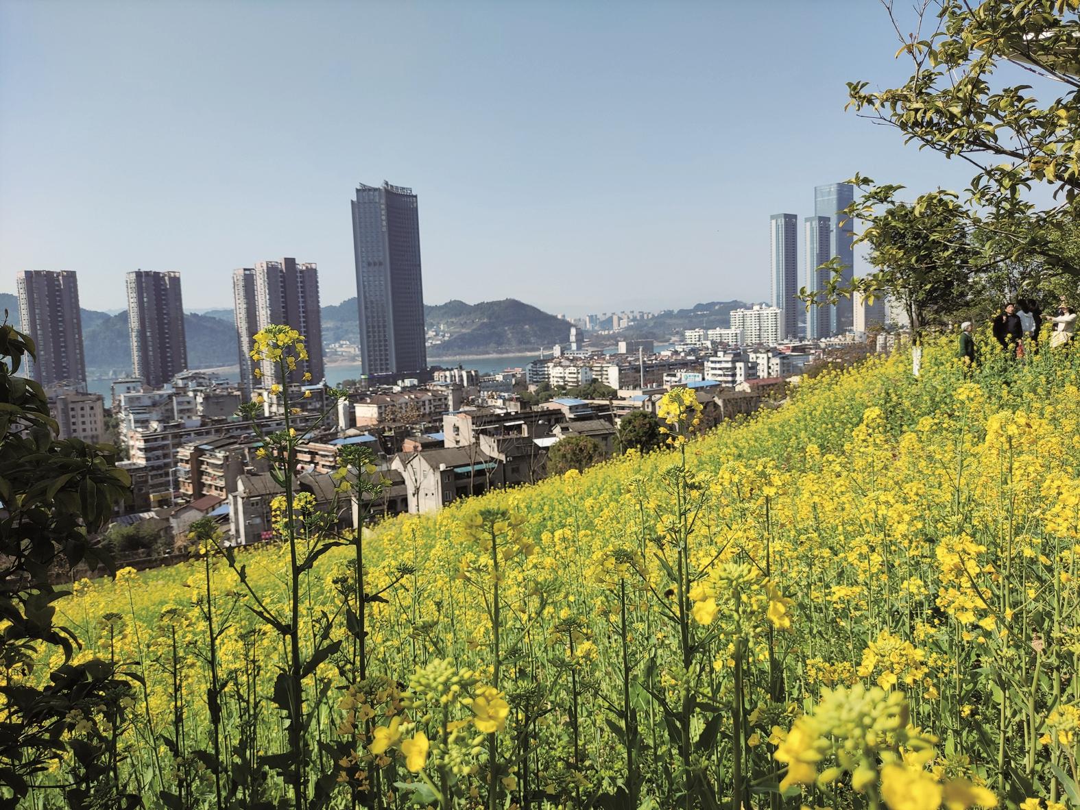 宜昌春游景色 宜昌春游景色