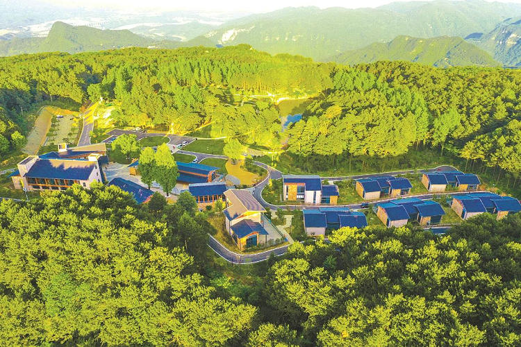 宜昌遠安森林休閑旅游指南 宜昌遠安森林休閑旅游指南