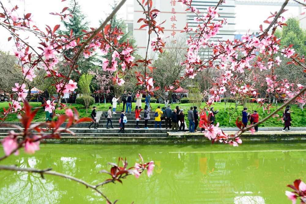 宜昌旅游網(wǎng) 宜昌旅游網(wǎng)