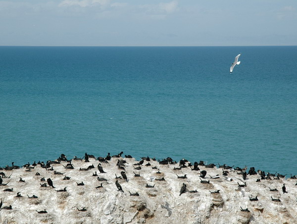 宜昌到青海湖旅游預訂