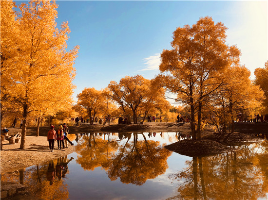 西北金塔胡楊林攻略 西北金塔胡楊林攻略