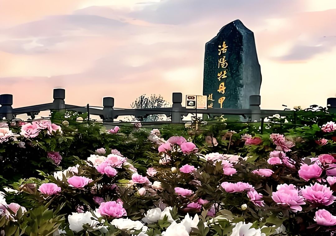 河南洛陽旅游網 河南洛陽旅游網