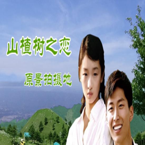 宜昌山楂樹之戀百里荒一日游旅游_宜昌百里荒旅游指南