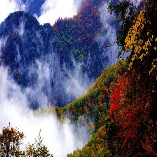 武漢到神農(nóng)架旅游攻略_宜昌到神農(nóng)架旅游攻略