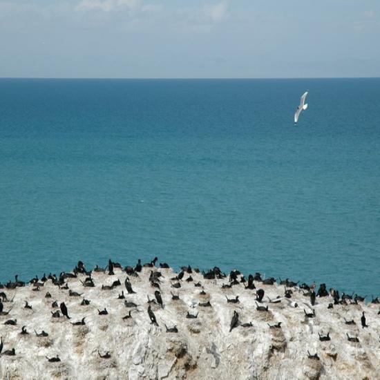 青海湖景區有哪些島嶼_青海湖大環線旅游攻略_青海旅游必看攻略